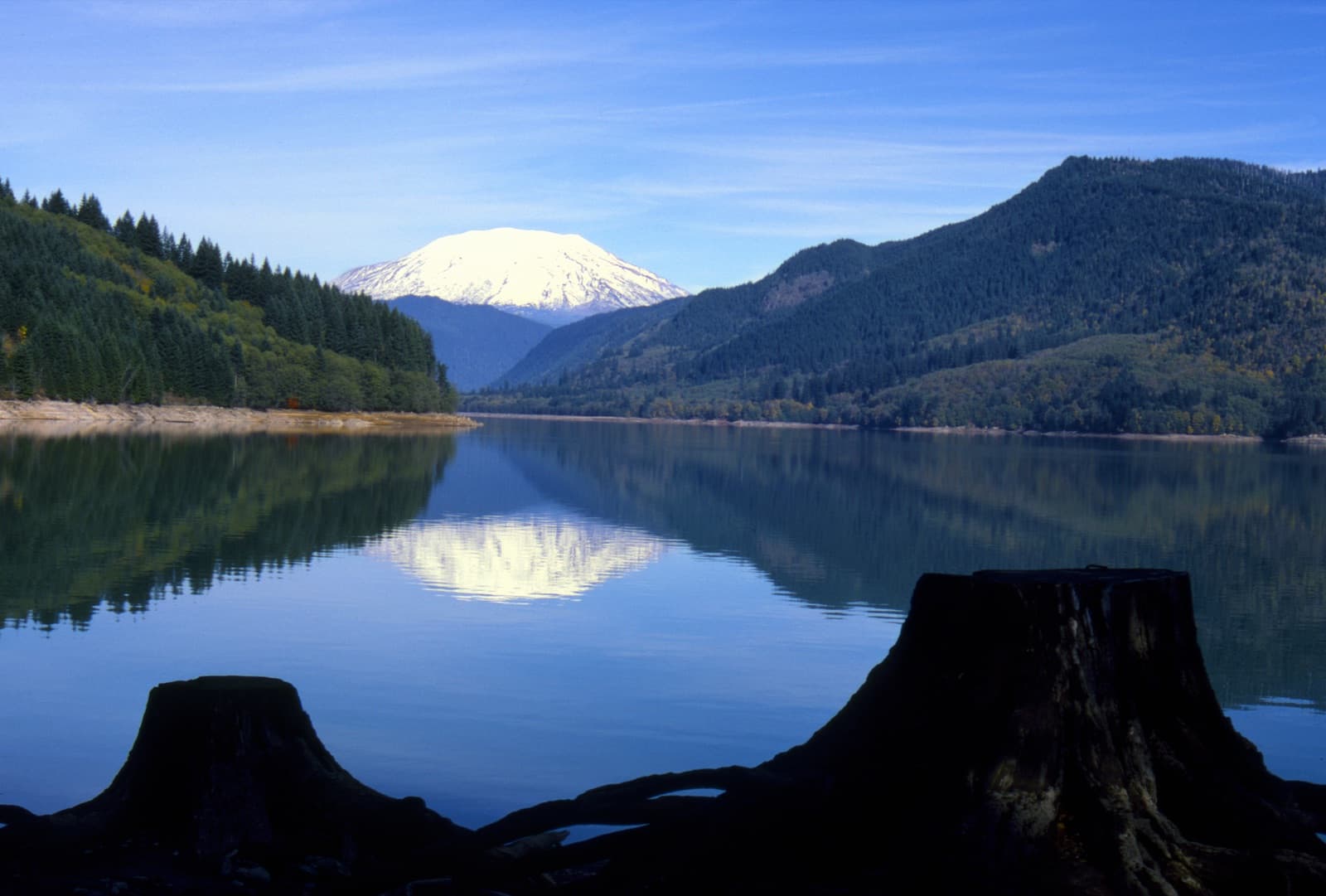Brisk Junk Removal serving Cowlitz County, WA